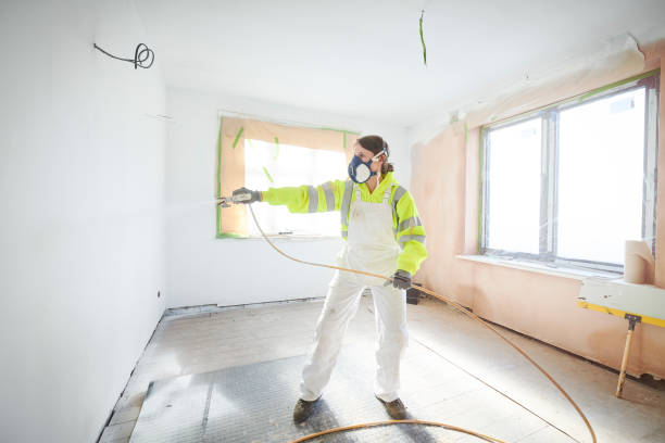 Asbestos and Lead Testing During Mold Inspection in Nash, TX