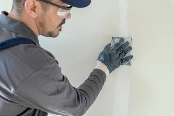 Biohazard Mold Removal in Nash, TX