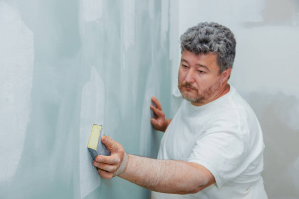 Best Post-Construction Mold Inspection  in Nash, TX