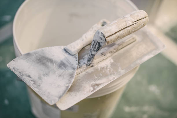Best Commercial Mold Inspection  in Nash, TX